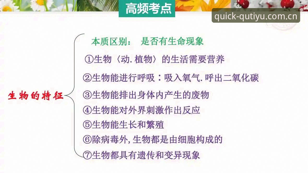 实用指南：趣体育平台“轻松直达”注册通道高频问题与效率捷径
